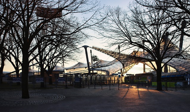 复旦大学与