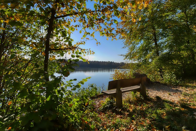 这不仅关乎 这不仅关乎