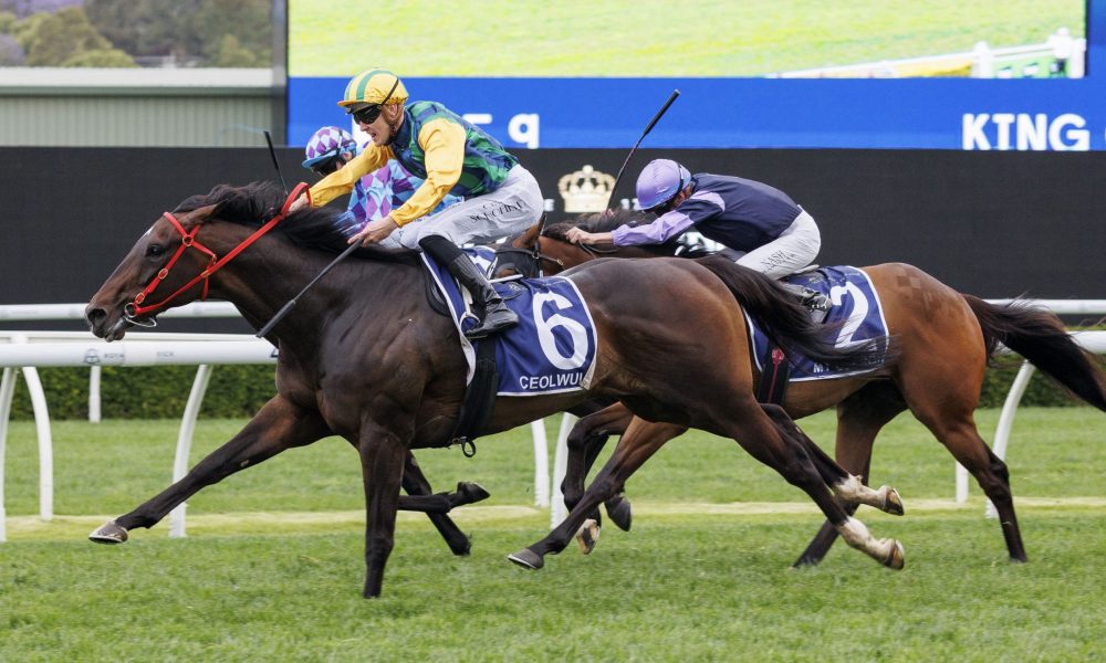 在他缺阵的 在他缺阵的