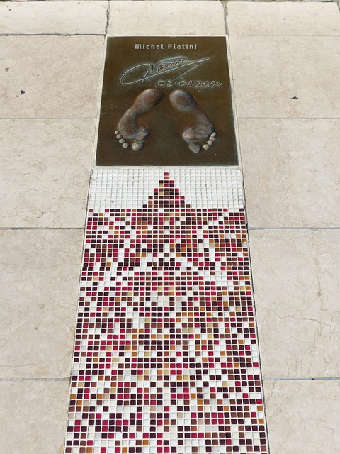 和多样性 和多样性